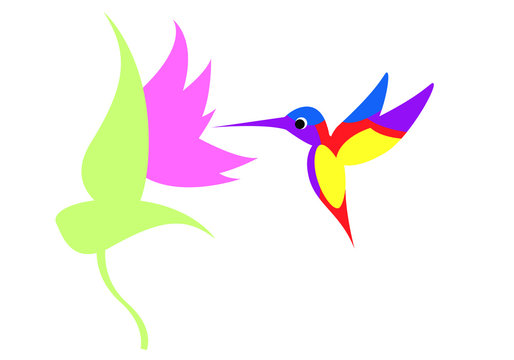 Illustration of a flying colorful Hummingbird or Colibri. Vector illustration. Isolated image on white background. Bird of hummingbirds. Vector drawing for logo or Illustration.