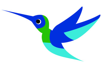 Illustration of a flying colorful Hummingbird or Colibri. Vector illustration. Isolated image on white background. Bird of hummingbirds. Vector drawing for logo or Illustration.