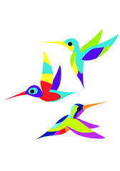 Illustration of a flying colorful Hummingbird or Colibri. Vector illustration. Isolated image on white background. Bird of hummingbirds. Vector drawing for logo or Illustration.