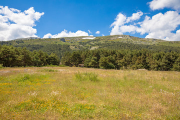 natural scenic with Navafria mountain, blue sky, clouds and forest from green grass meadow, in Guadarrama Natural Park (Madrid, Spain, Europe)