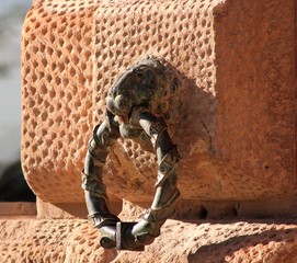 Adorno en forma de león en la fachada del Palacio de Carlos V en Granada