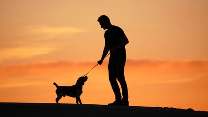 Young Adult Man come with dog on leash and stay, black silhouetted shot against orange sunset sky. Owner stay against pet and hold snack in fist, beagle ready and watching