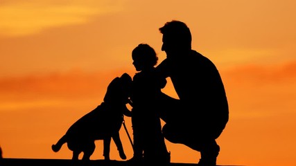 Dog come to father with tiny daughter, shadow figure against vivid sky. Pet happy to see his family, wag tail and touch people by nose. Man support baby to stay