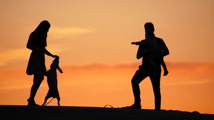 Young family silhouetted shot against sunset sky, woman play with dog, man hold tiny baby girl on hands. Vivid yellow skies on background