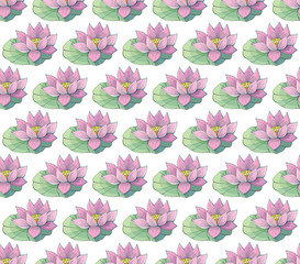 Seamless vector pattern of gentle pink Lotus flowers and leaves. Water lily. Vintage style. hand drawn Botanical illustration. Good design for printing, postcard, Wallpaper, packaging, textile.