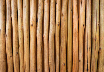 Bamboo background/texture, close up