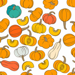 Colorful various pumpkins on white background seamless pattern