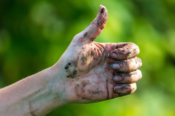Hand in black dirt ground on nature