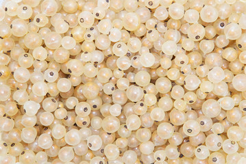 Ripe fresh whitecurrant texture. Background of berries. The taste of summer.  Diet food.