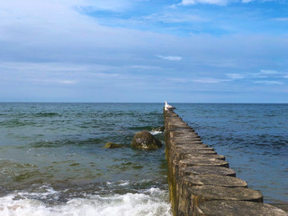 Fototapeta premium Baltic Sea Coast