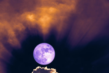 Naklejka na ściany i meble full harvest purple moon back on silhouette cloud ray on sunset sky