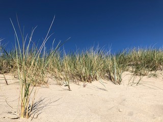 Beach on the Baltic Sea