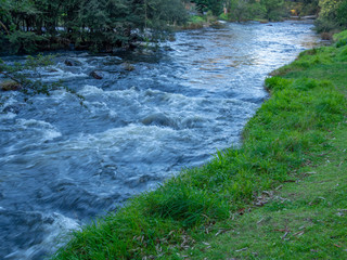 Yarra Rapids