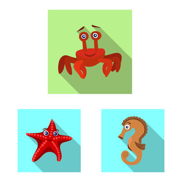 Vector design of sea and animal symbol. Set of sea and marine vector icon for stock.