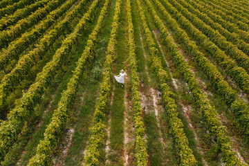 Fototapeta premium Aerial view of beautiful girl in hat stands on large vineyard plantation.