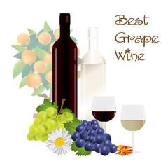 Vector realistic illustration of grapes and wine bottles. Objects on a white background.