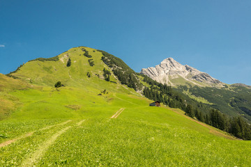 Fototapeta na wymiar Mountain Alps