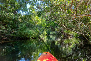 Kayaking on Juniper Springs Creek, Florida	