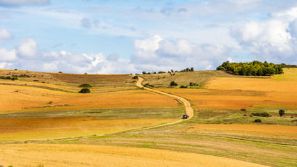 Fototapeta na wymiar Rural landscape with wheat field and blue sky at Trás-os-Montes, Portugal