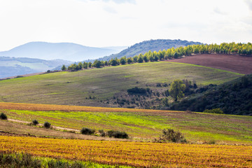 Fototapeta na wymiar Wonderful landscape of Trás-os-Montes, Portugal. Landscape with wheat field and blue sky.