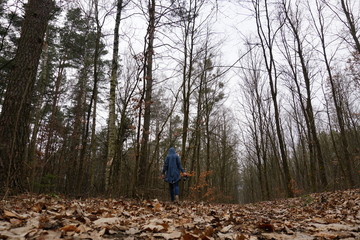 kobieta w niebieskim płaszczu z kapturem spaceruje samotnie po lesie, późną jesienią, pośród...