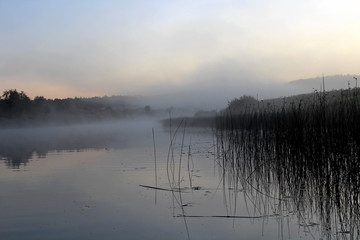 A medium-sized natural pond surrounded by vegetation at dawn dusk. Unique image of the surrounding nature