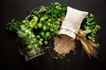 Mug with hop cones, wheat and grains on dark wooden background. October fest background. Top view....