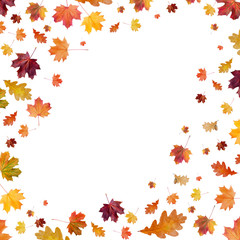 Naklejka na ściany i meble Autumn background with golden maple and oak leaves.