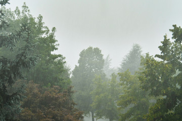 Obraz na płótnie Canvas Heavy rain day