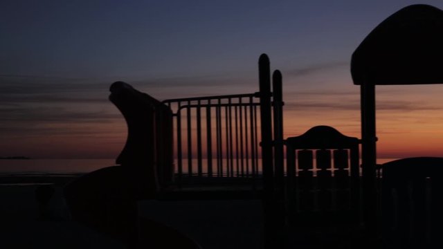 playground with palm tree close-up in summer at sunset