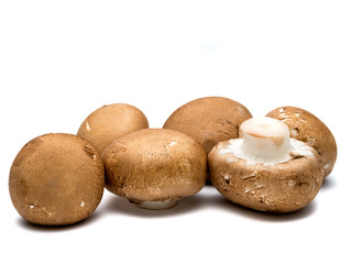 Six brown mushrooms isolated on white.