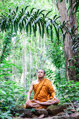 Naklejka na ściany i meble Buddha monk sitting in forest doing meditation Vipassana method