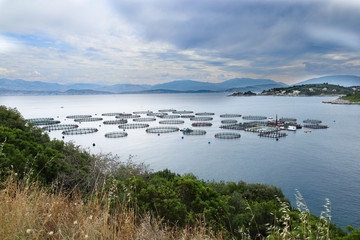 Fischfarm_auf_Korfu