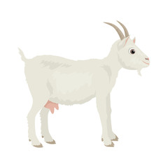 Goat isolated on white background. Vector illustration of farm animal in cartoon simple flat style.
