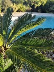 Fototapeta premium jardin méditerranéen, france