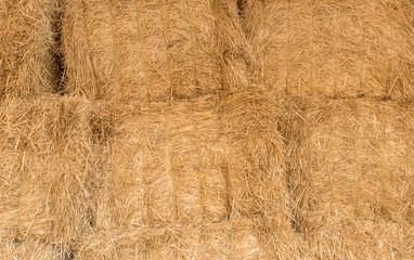 animal feed stored in the form of hay bales
