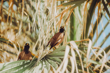 Bird perched on tree