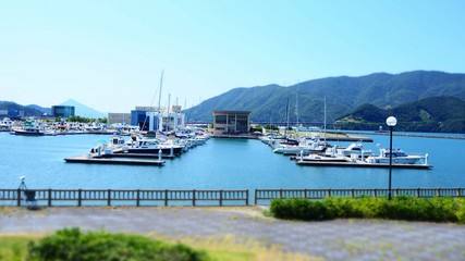 Fototapeta premium OLYMPUS DIGITAL CAMERA