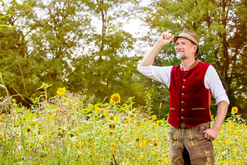 Naklejka na ściany i meble handsome bavarian man in his 50s standing in a field of sunflowers