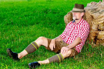 bavarian man sitting outdoors at tree stump and sleeping