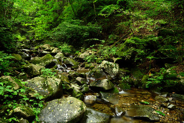 Naklejka na ściany i meble This is a natural scenery photo of Japan