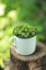 gooseberry in a circle