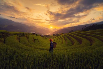 Crédence de cuisine en verre imprimé Mu Cang Chai Tribal woman, farmer, with paddy rice terraces, agricultural fields in countryside of Mu Cang Chai, Yen Bai, mountain hills valley in South East Asia, Vietnam. Nature landscape background.