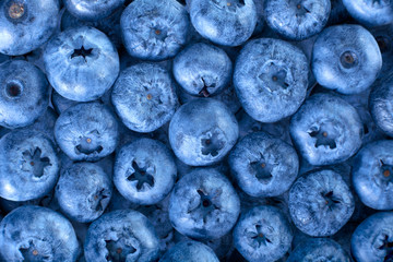 Fresh blueberry background. Texture blueberry berries close up