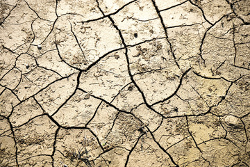 Cracked earth surface. Drought land background with birds' footprints.