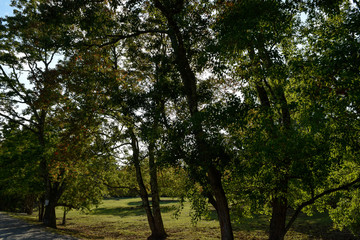 奈良公園