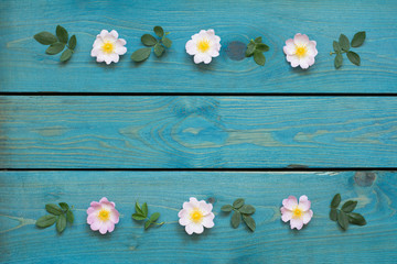 Obraz premium Greeting card border with pink rose flowers, petals and leaves on blue wooden boards