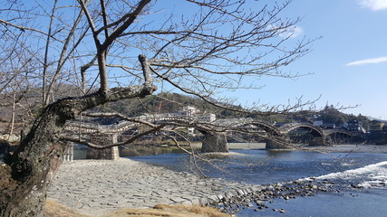 Tree in front of an old bridge