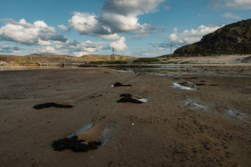Summer landscape of the green polar tundra in the vicinity Teriberka
