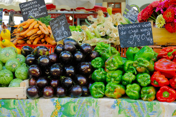 assortment of vegetable sold in market in provence-france with text  new carrot, eggplant, green pepper, leek -from our garden-
